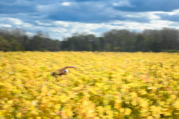 série fantômes nageuse nageant dans une vigne