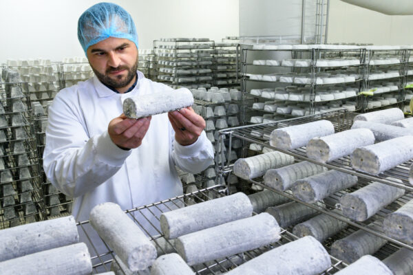 Fromagerie Jacquin berry production de fromage de chèvre