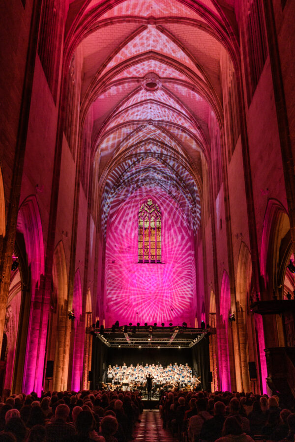 concert de Lumières sur Notre-Dame de Cléry basilique éclairé en couleur rose