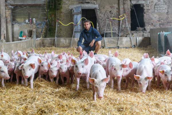 EARL de Gorgeat élevage de porcs bio adhérent c du centre entouré de porcelets