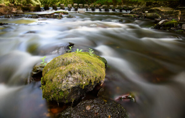 rivière avec effet flou de mouvement de l'eau