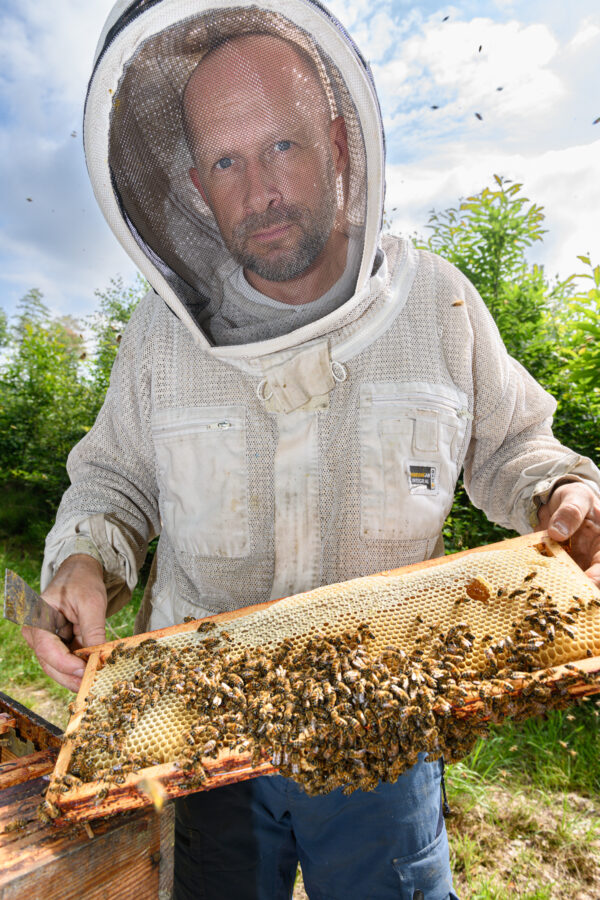 GAEC Mérignan apiculteur présentant des abeilles