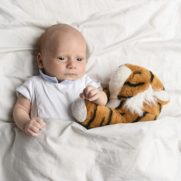 portrait de bébé avec un tigre en peluche dans un lit