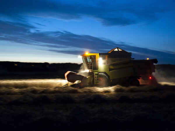 moissonneuse batteuse roulant de nuit dans un champs