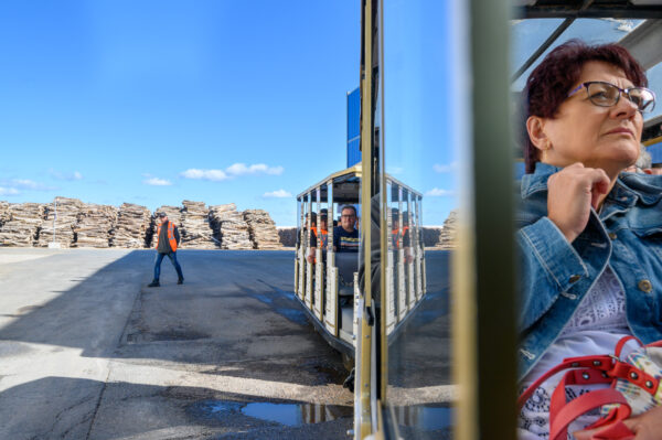 visite de l'entreprise swiss krono visage de dame dans un petit train avec les troncs d'arbres derrière