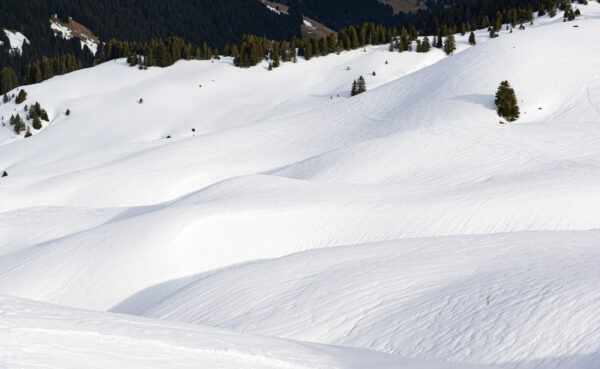 paysage montagne enneigée