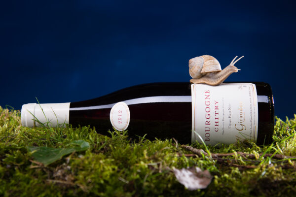 escargot de bourgogne posé sur une bouteille de vin de bourgogne photo réalisée en studio photographique