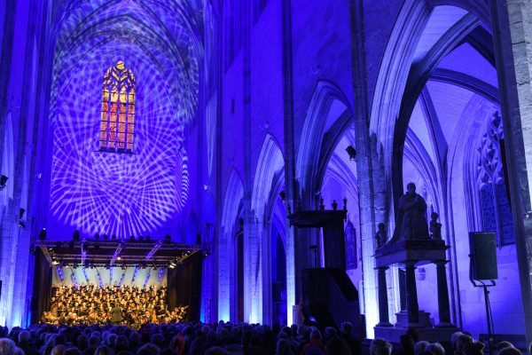concert de Lumières sur Notre-Dame de Cléry 2025 basilique éclairé en couleur